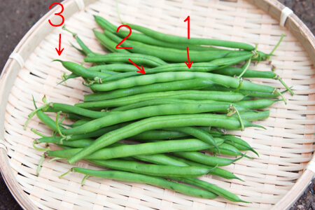  ingen bean, green beans、delicious, how to distinguish 