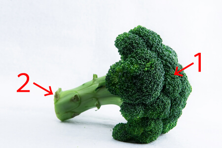  broccoli delicious how to distinguish 