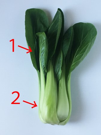  Binged vegetables
Bok-choy How to distinguish delicious 