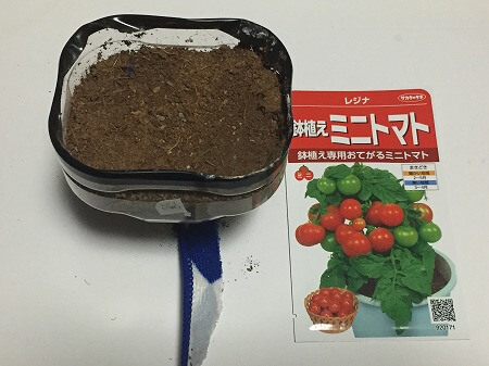 レジナ　水耕栽培　ミニトマト　種まき Cherry tomato　　