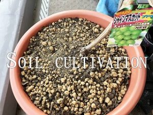 Soil cultivation　 Japanese home garden