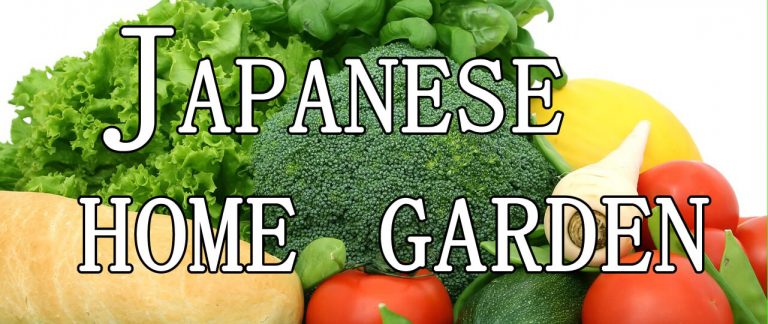  Japanese home garden、　healthiest vegetables、veggies