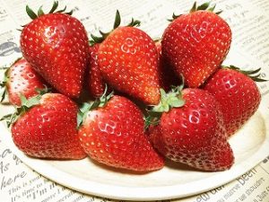 strawberry 、 Strawberry from seed、