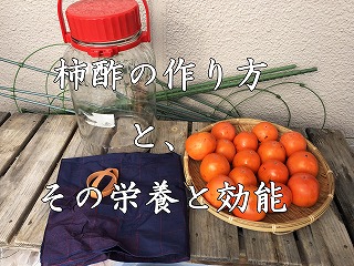 柿酢　作り方　栄養　効能