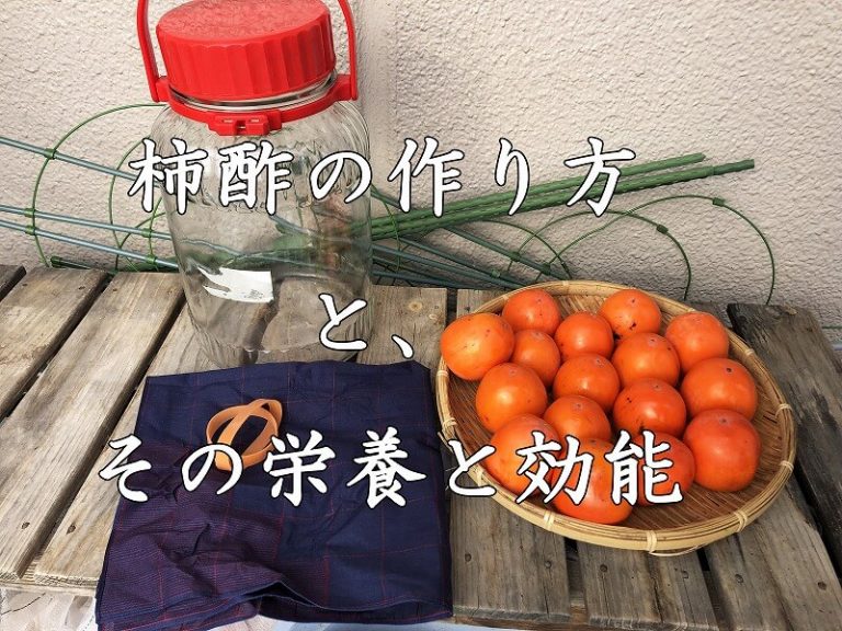  persimmon　vinegar　柿酢　柿　作り方　効能　栄養