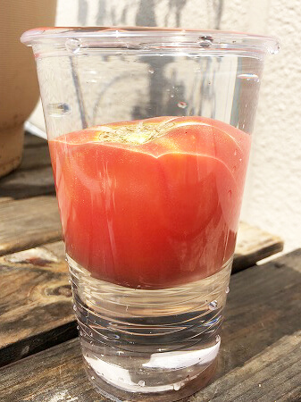 桃太郎EX　桃太郎　トマト　栽培　土壌式水耕栽培　甘いトマト
育て方　Tomato　