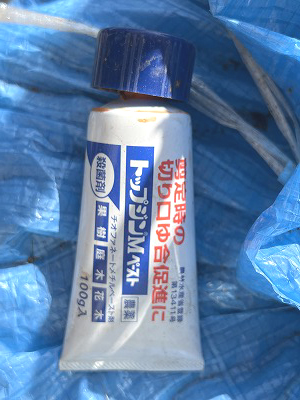 シャインマスカット Shine Muscat ベランダ栽培